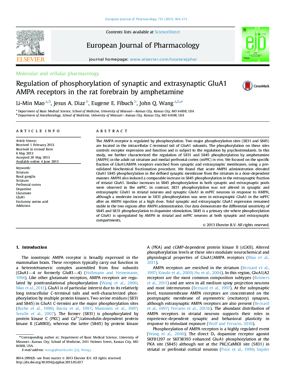 Regulation of phosphorylation of synaptic and extrasynaptic GluA1 AMPA receptors in the rat forebrain by amphetamine