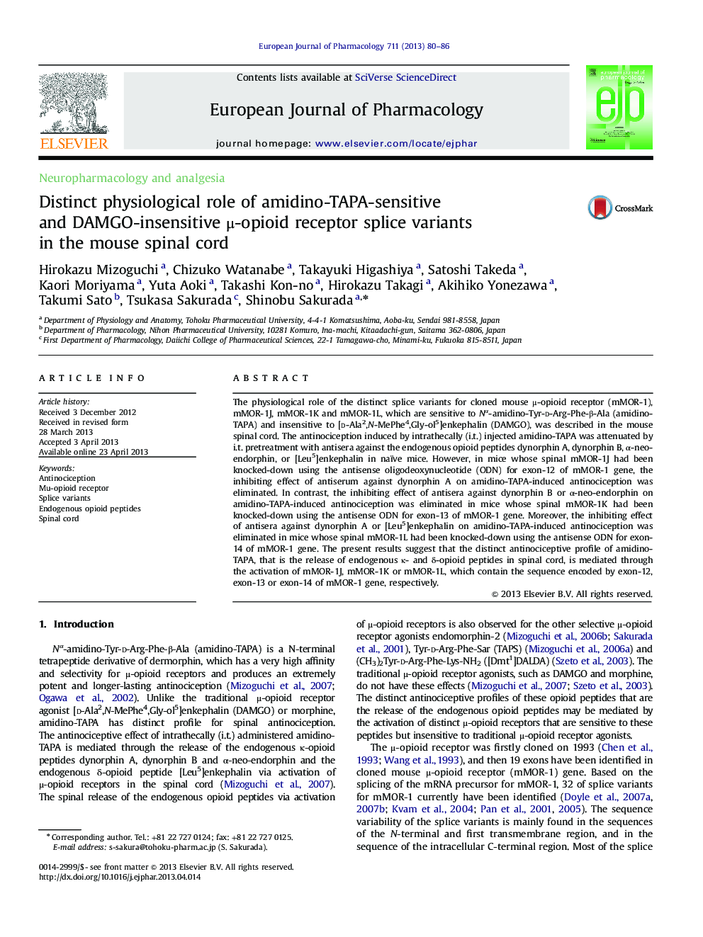 Distinct physiological role of amidino-TAPA-sensitive and DAMGO-insensitive μ-opioid receptor splice variants in the mouse spinal cord