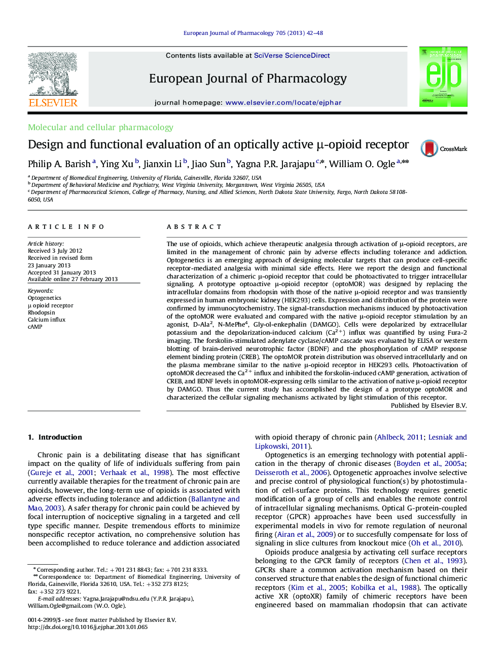 Design and functional evaluation of an optically active μ-opioid receptor