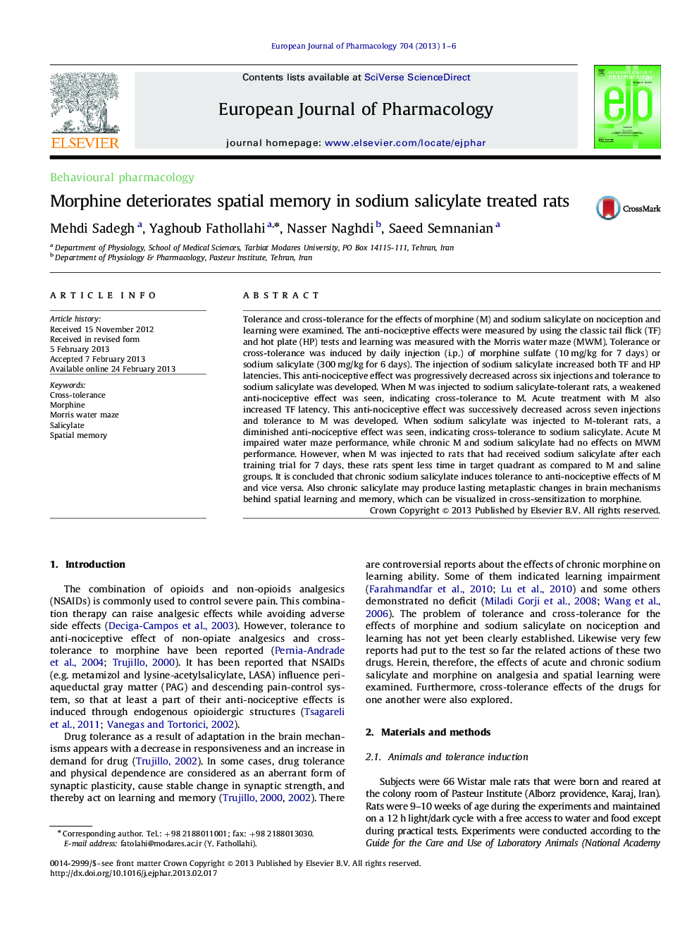 Morphine deteriorates spatial memory in sodium salicylate treated rats