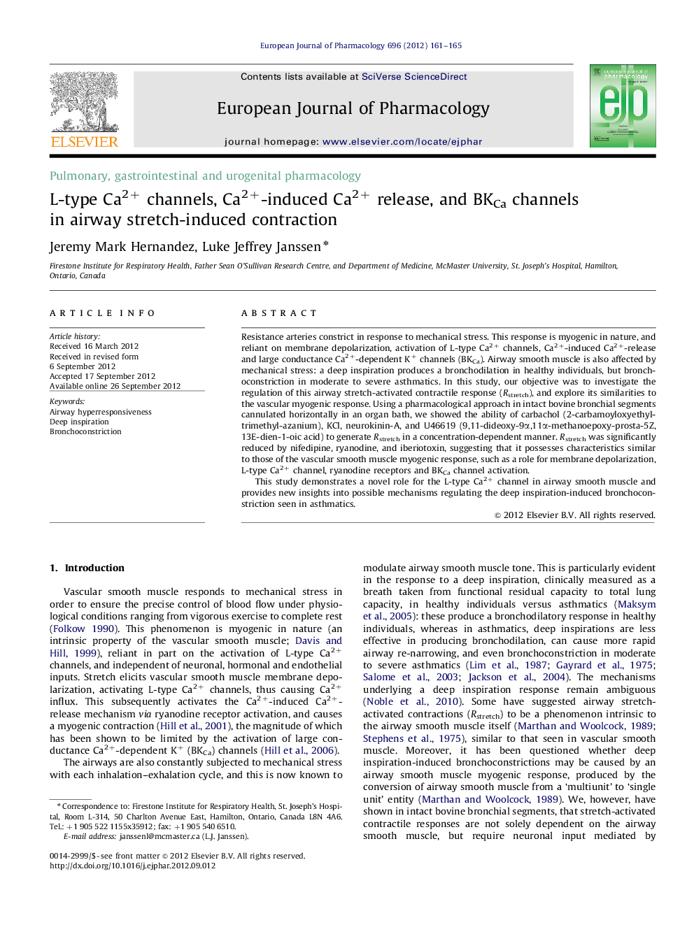 L-type Ca2+ channels, Ca2+-induced Ca2+ release, and BKCa channels in airway stretch-induced contraction