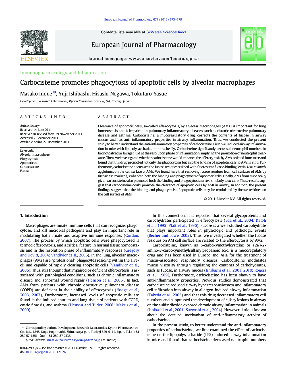 Carbocisteine promotes phagocytosis of apoptotic cells by alveolar macrophages