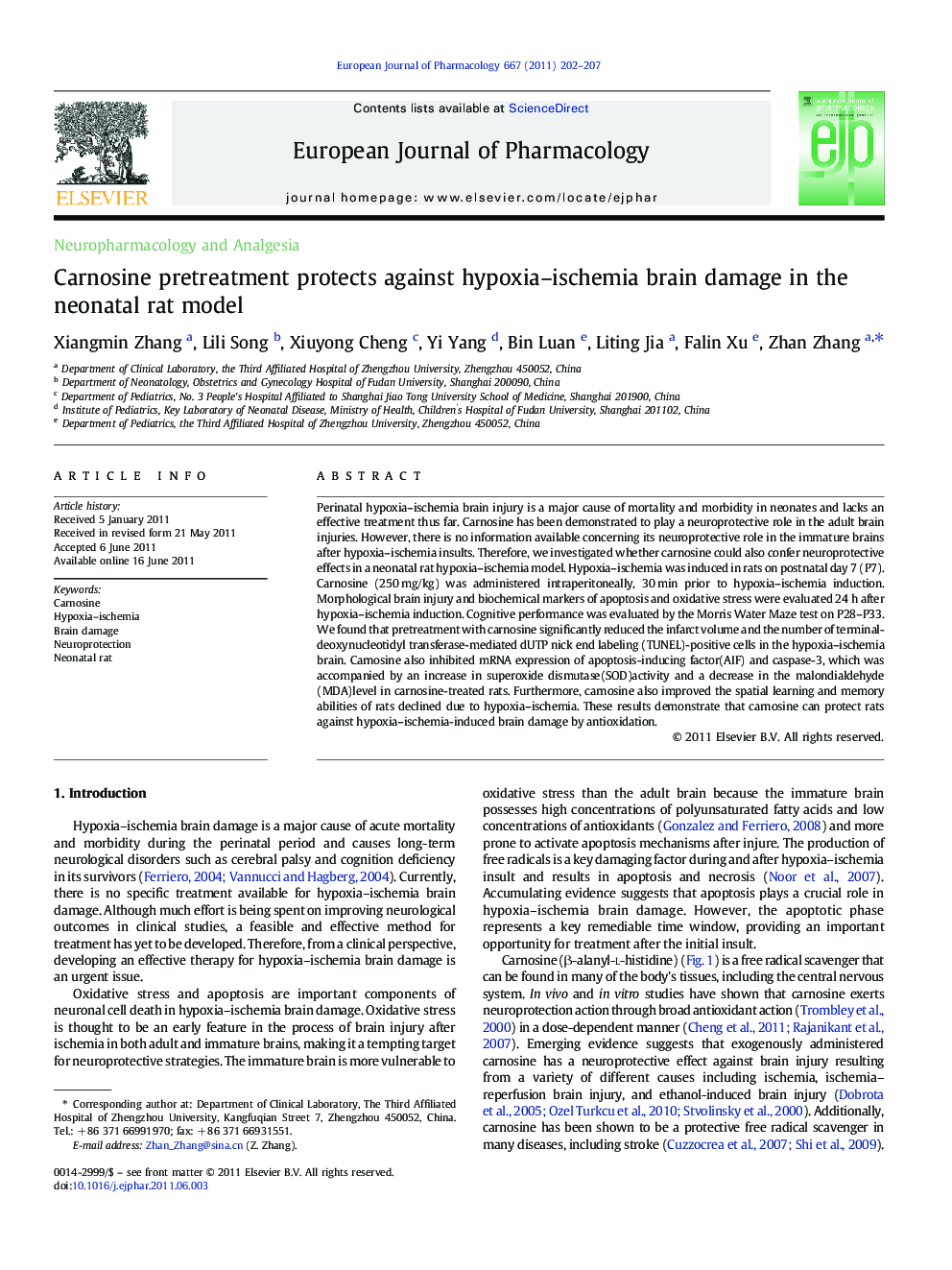 Carnosine pretreatment protects against hypoxia–ischemia brain damage in the neonatal rat model