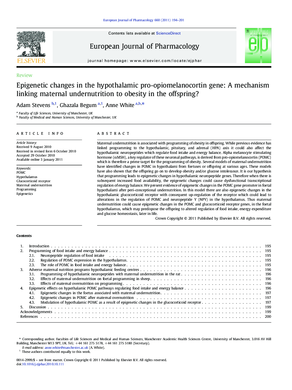 Epigenetic changes in the hypothalamic pro-opiomelanocortin gene: A mechanism linking maternal undernutrition to obesity in the offspring?