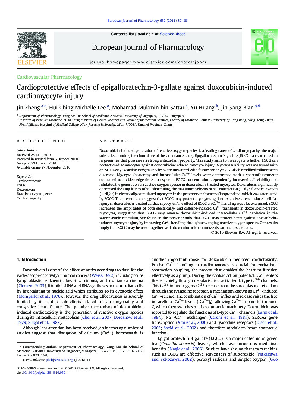 Cardioprotective effects of epigallocatechin-3-gallate against doxorubicin-induced cardiomyocyte injury