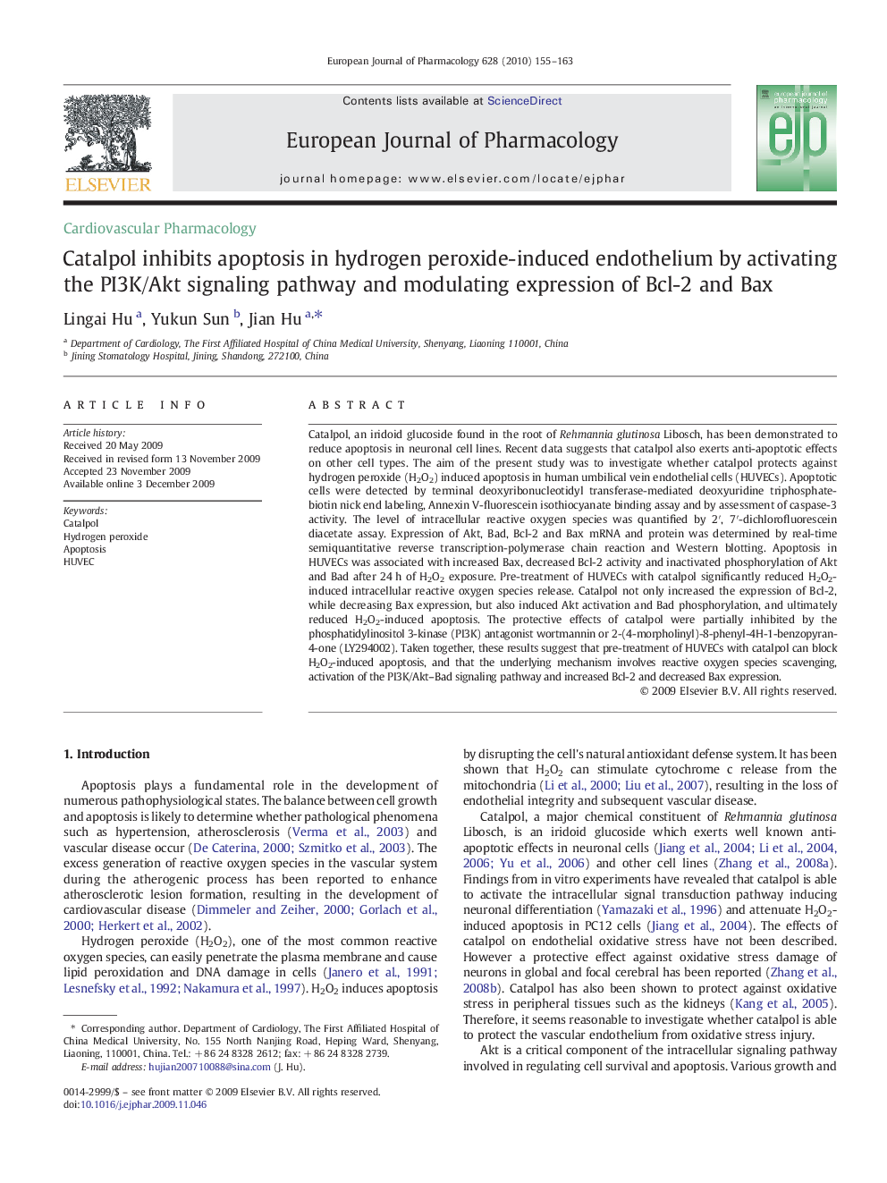 Catalpol inhibits apoptosis in hydrogen peroxide-induced endothelium by activating the PI3K/Akt signaling pathway and modulating expression of Bcl-2 and Bax