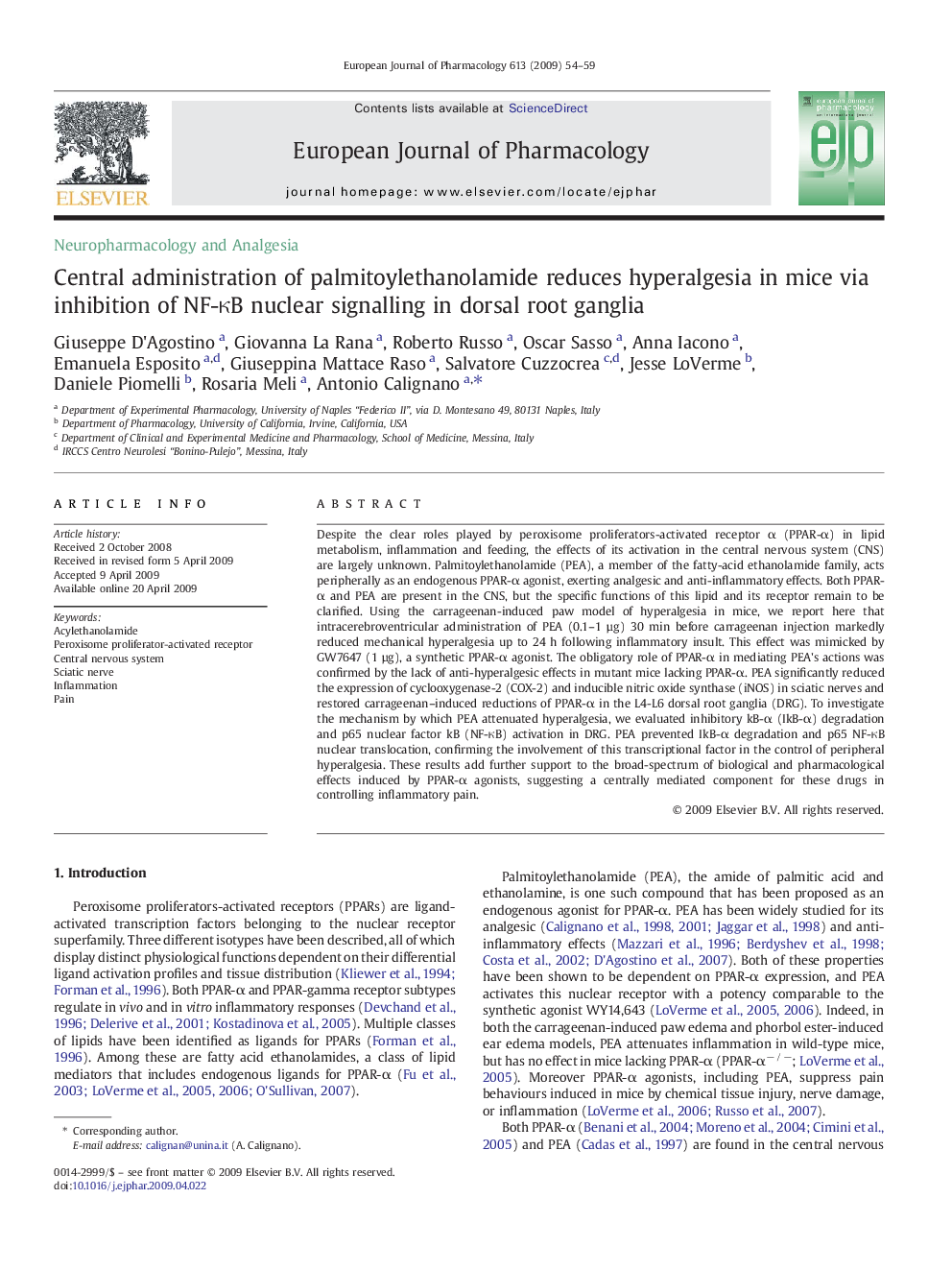 Central administration of palmitoylethanolamide reduces hyperalgesia in mice via inhibition of NF-κB nuclear signalling in dorsal root ganglia