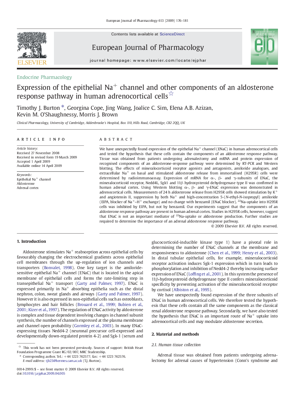 Expression of the epithelial Na+ channel and other components of an aldosterone response pathway in human adrenocortical cells 