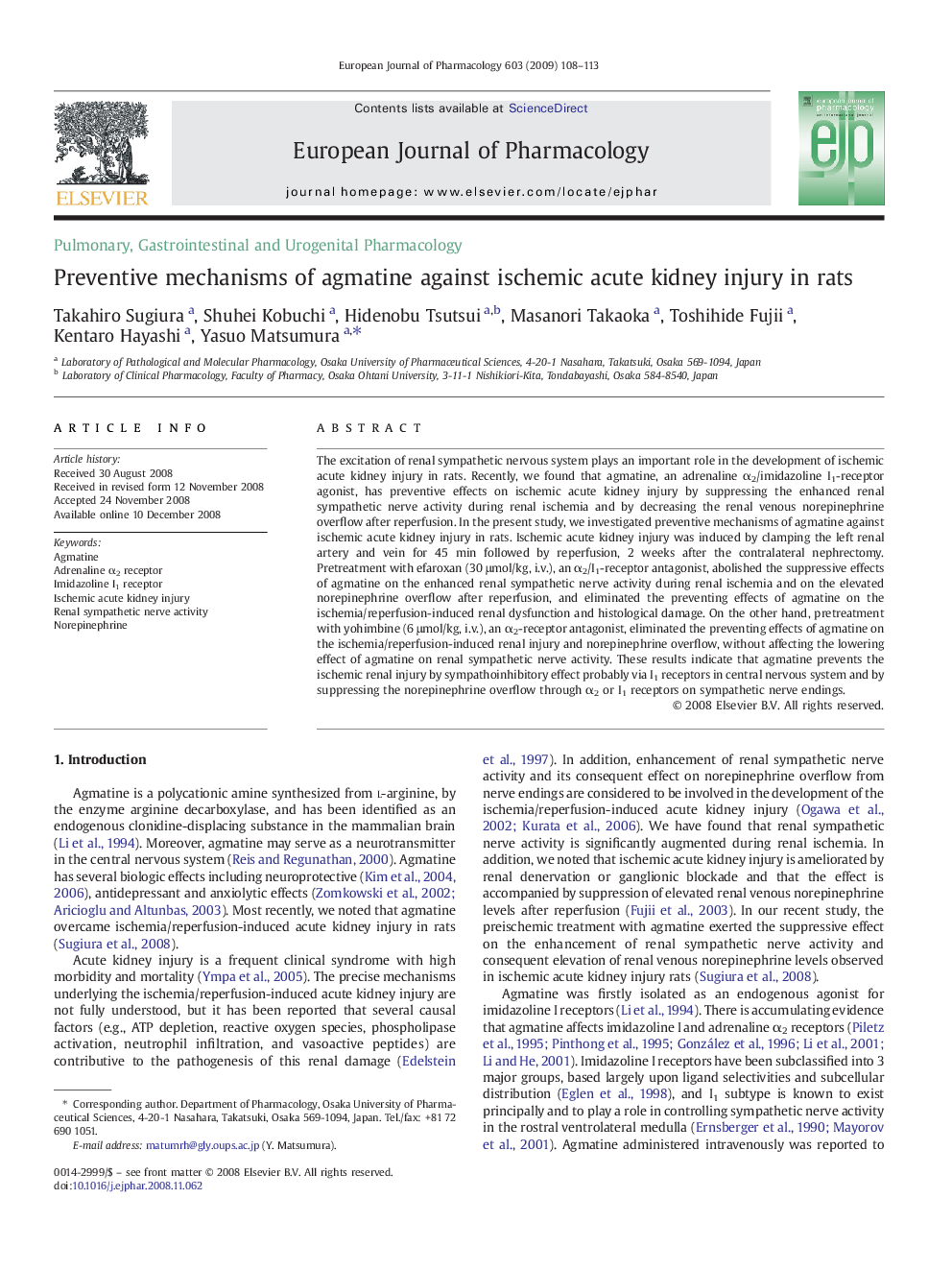 Preventive mechanisms of agmatine against ischemic acute kidney injury in rats