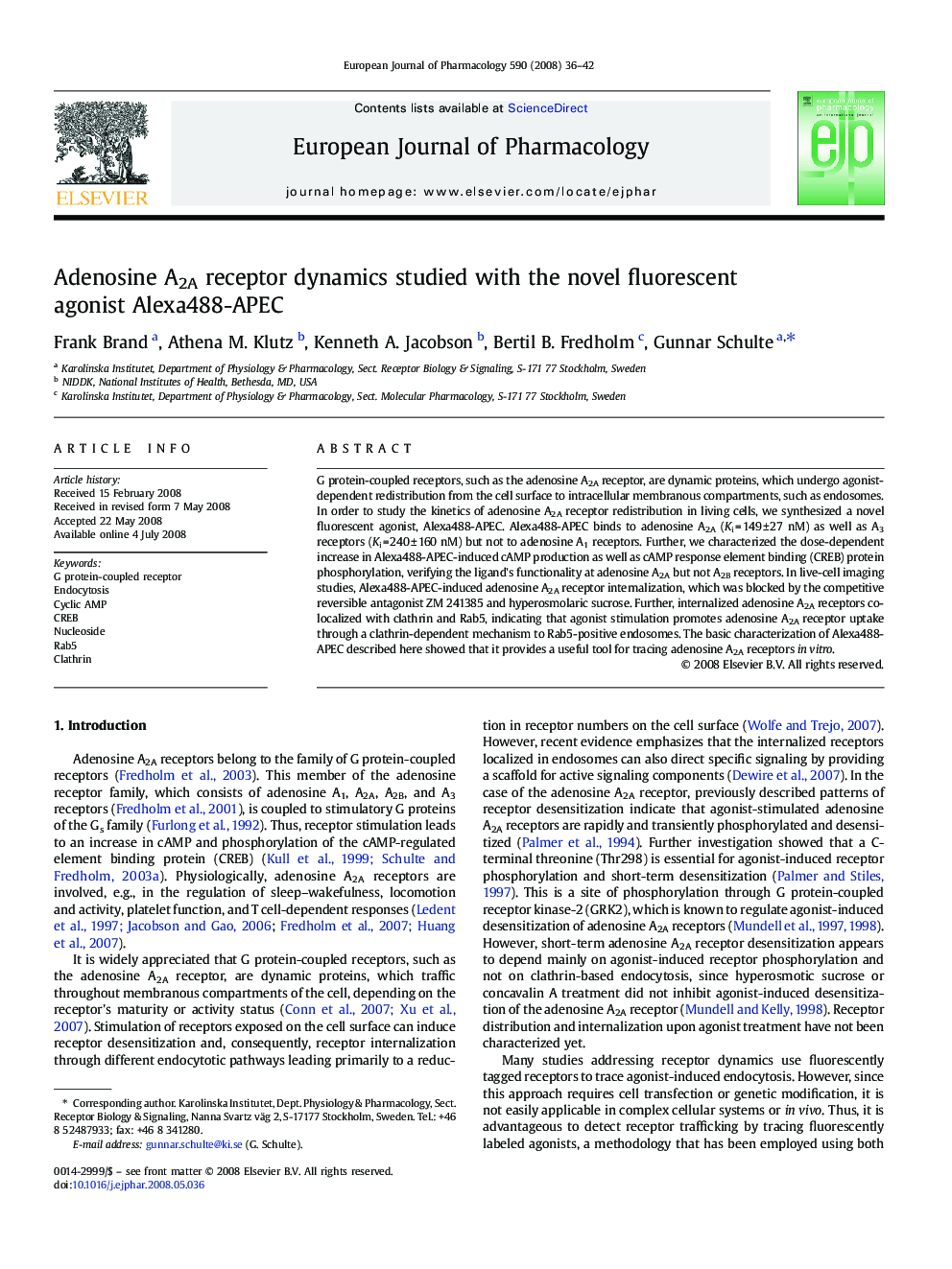 Adenosine A2A receptor dynamics studied with the novel fluorescent agonist Alexa488-APEC