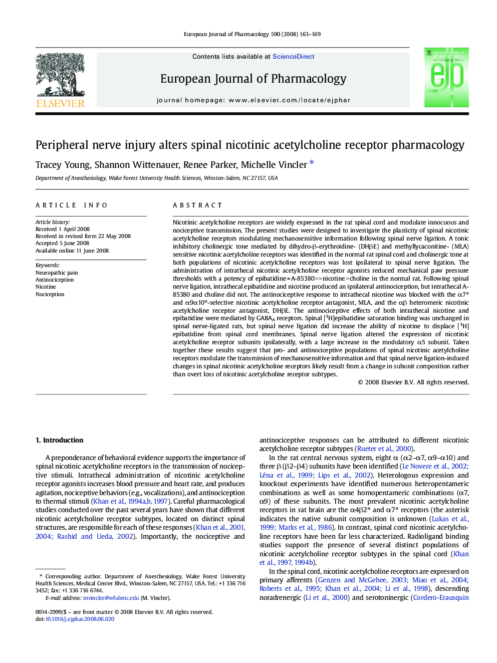 Peripheral nerve injury alters spinal nicotinic acetylcholine receptor pharmacology