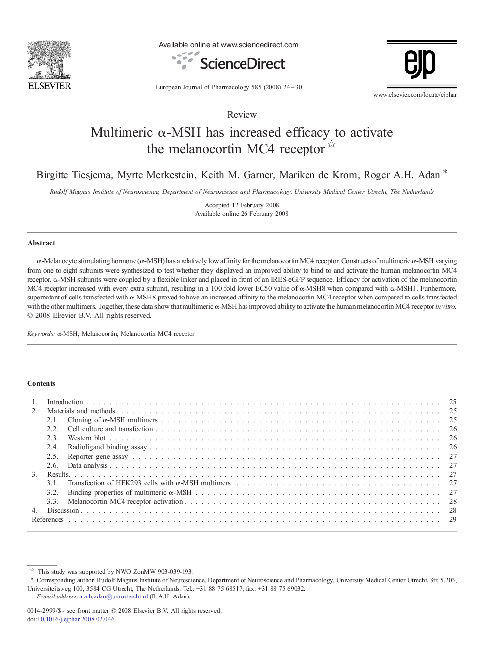 Multimeric α-MSH has increased efficacy to activate the melanocortin MC4 receptor 