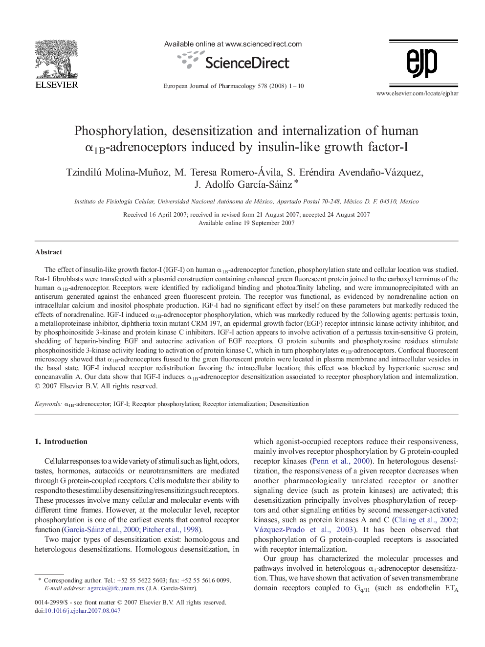 Phosphorylation, desensitization and internalization of human α1B-adrenoceptors induced by insulin-like growth factor-I