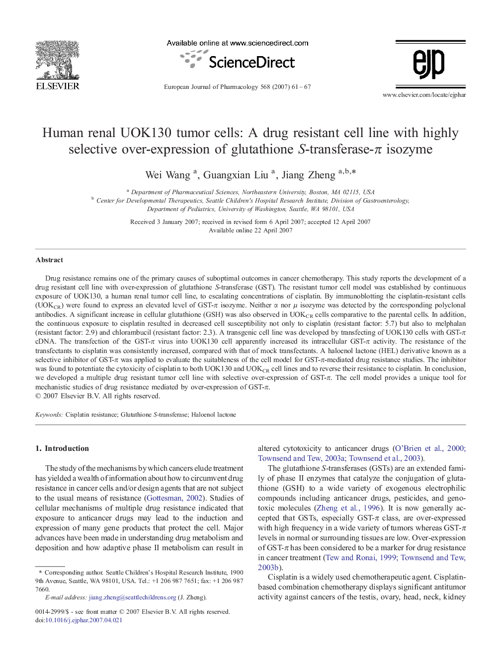 Human renal UOK130 tumor cells: A drug resistant cell line with highly selective over-expression of glutathione S-transferase-π isozyme