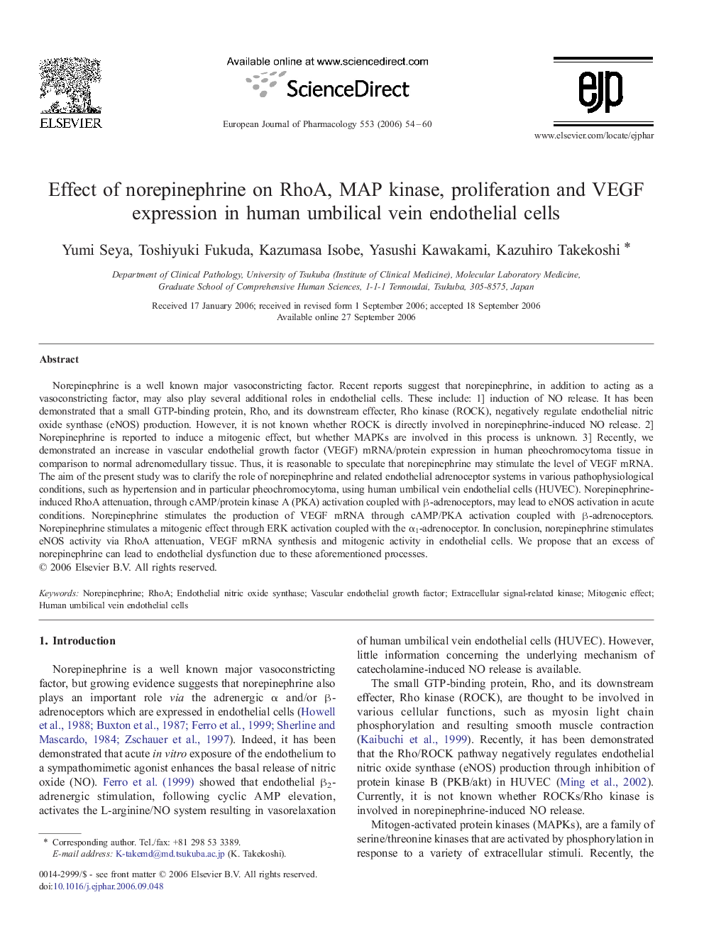 Effect of norepinephrine on RhoA, MAP kinase, proliferation and VEGF expression in human umbilical vein endothelial cells