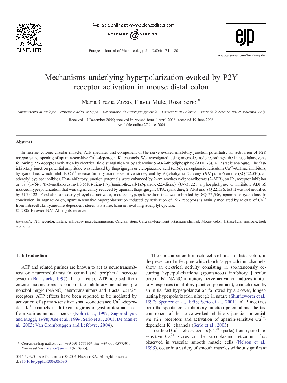 Mechanisms underlying hyperpolarization evoked by P2Y receptor activation in mouse distal colon