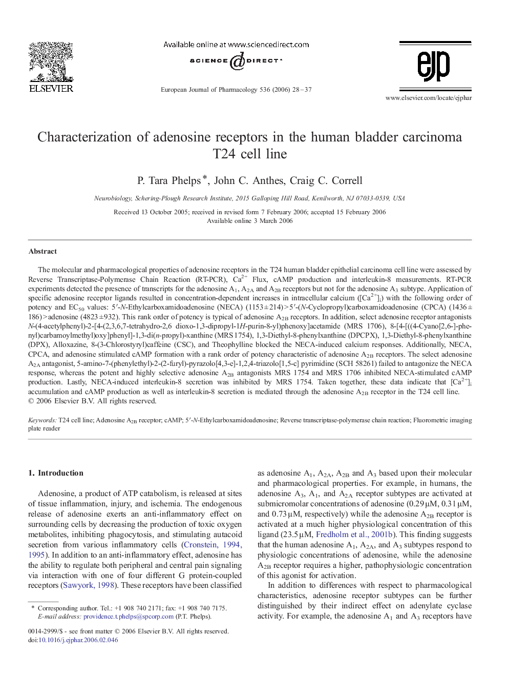 Characterization of adenosine receptors in the human bladder carcinoma T24 cell line