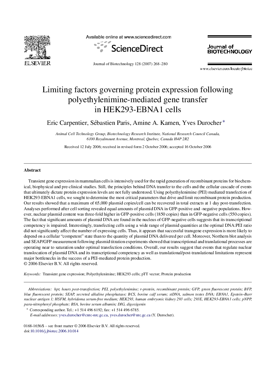 Limiting factors governing protein expression following polyethylenimine-mediated gene transfer in HEK293-EBNA1 cells