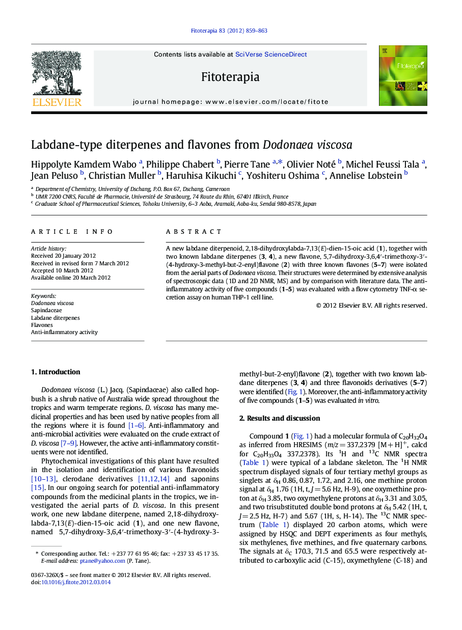 Labdane-type diterpenes and flavones from Dodonaea viscosa