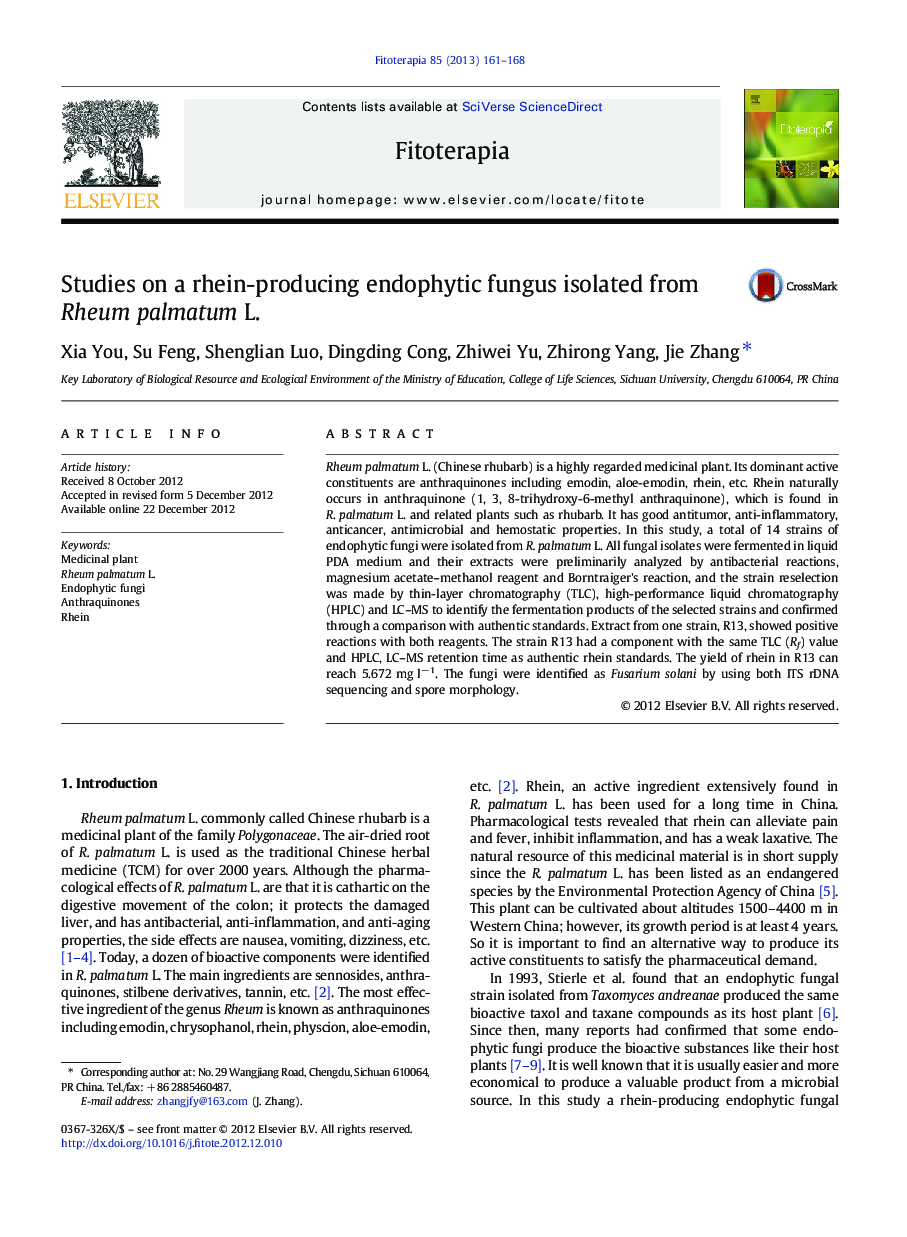 Studies on a rhein-producing endophytic fungus isolated from Rheum palmatum L.