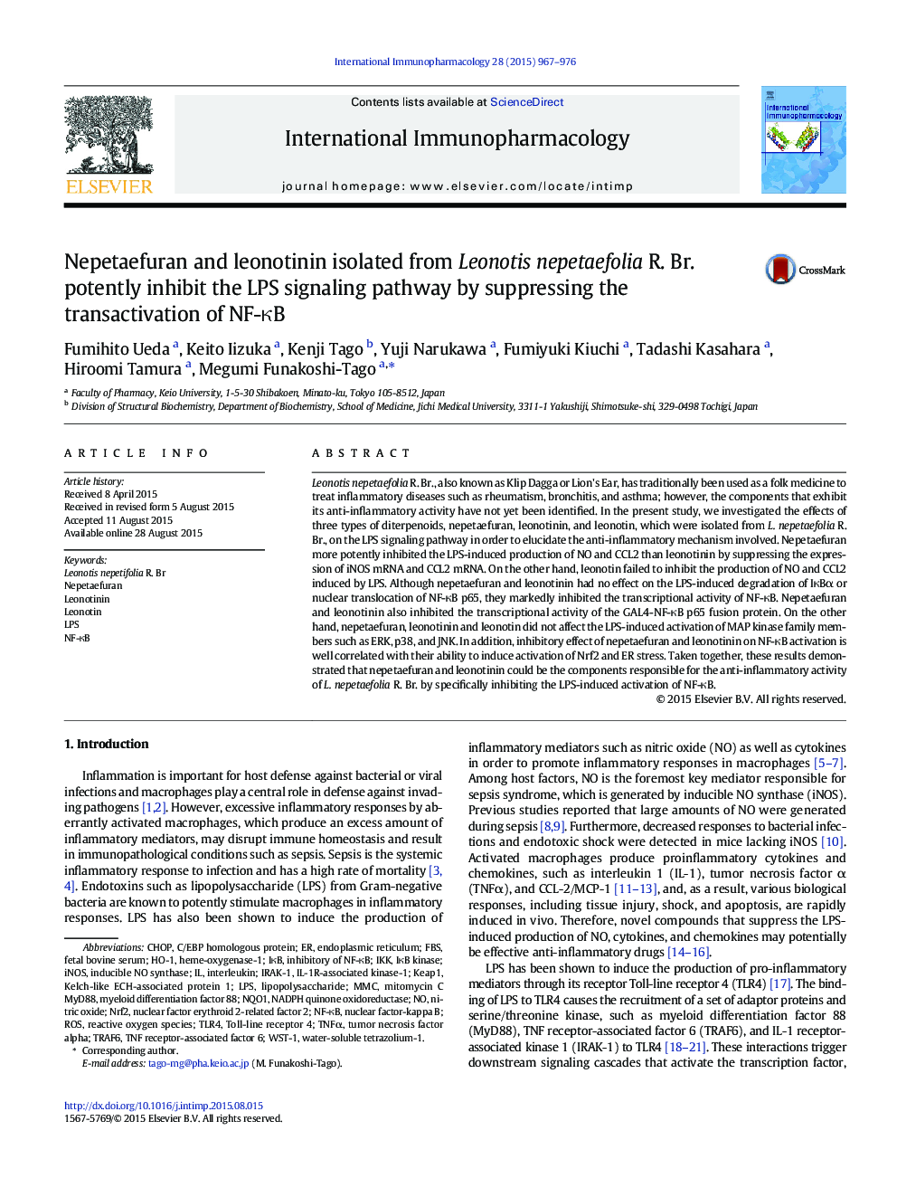 Nepetaefuran and leonotinin isolated from Leonotis nepetaefolia R. Br. potently inhibit the LPS signaling pathway by suppressing the transactivation of NF-κB