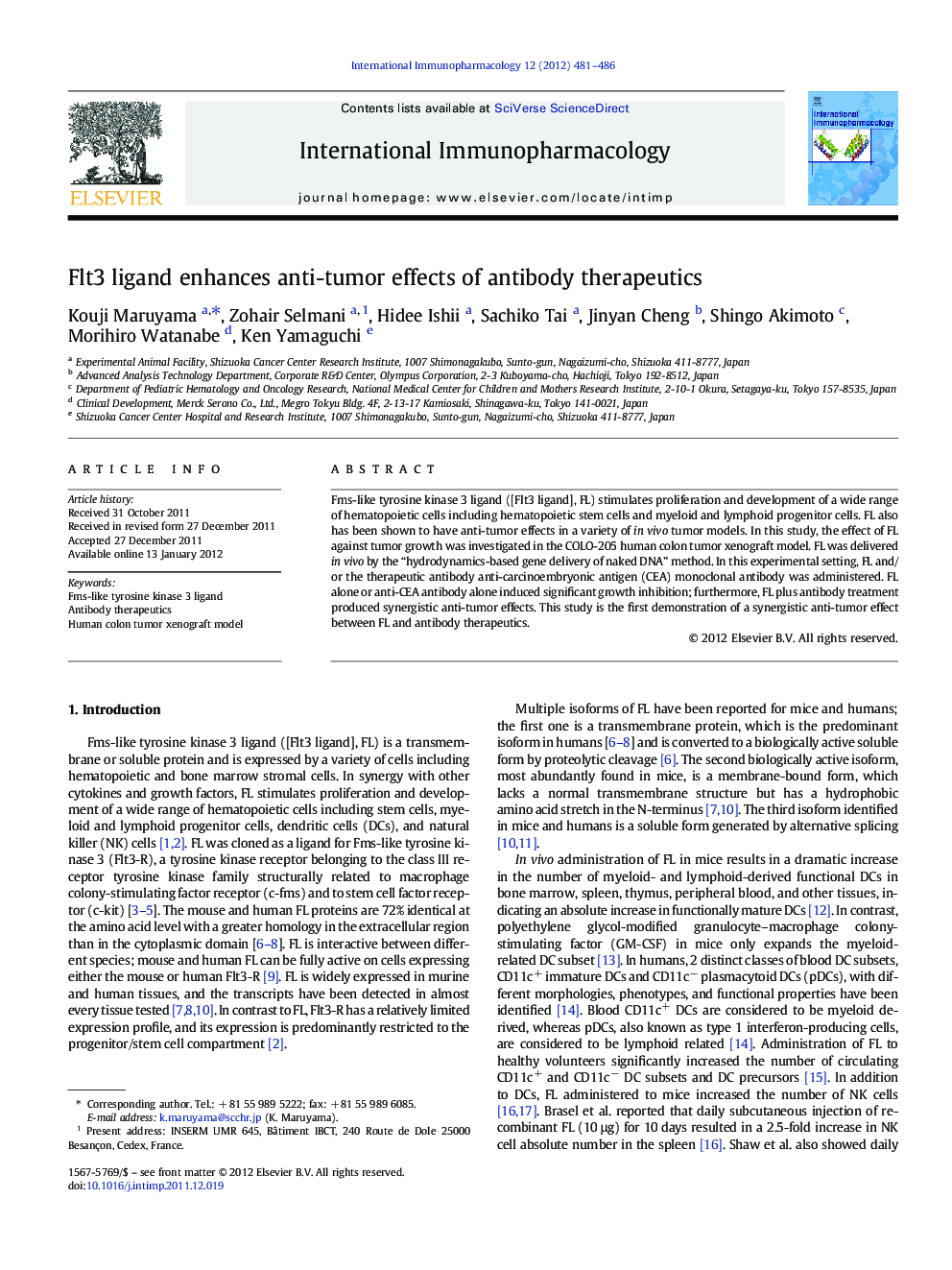 Flt3 ligand enhances anti-tumor effects of antibody therapeutics