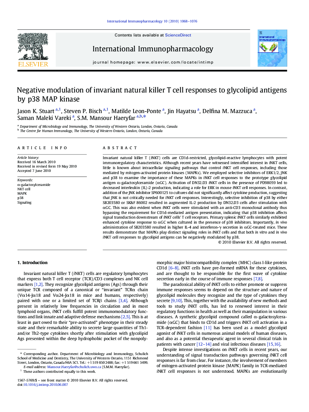 Negative modulation of invariant natural killer T cell responses to glycolipid antigens by p38 MAP kinase