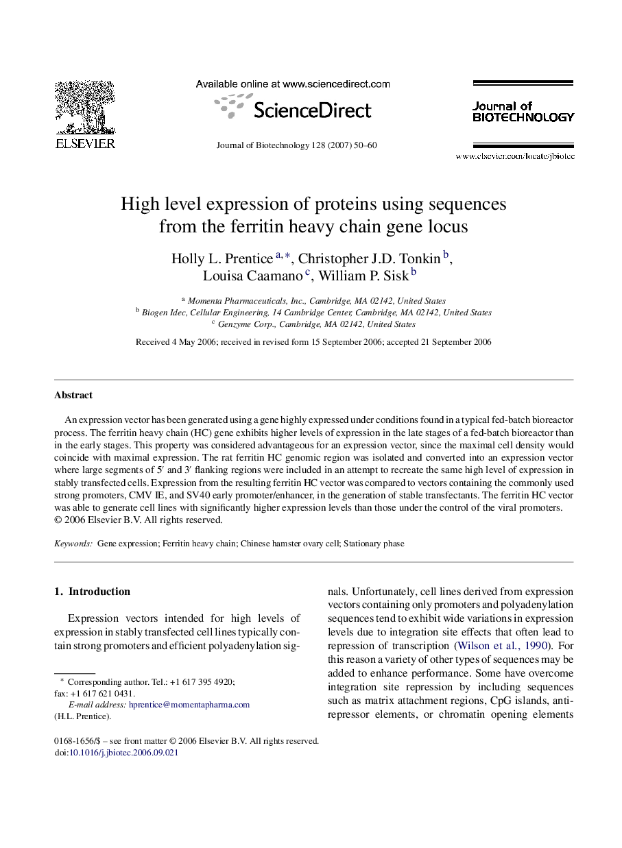 High level expression of proteins using sequences from the ferritin heavy chain gene locus