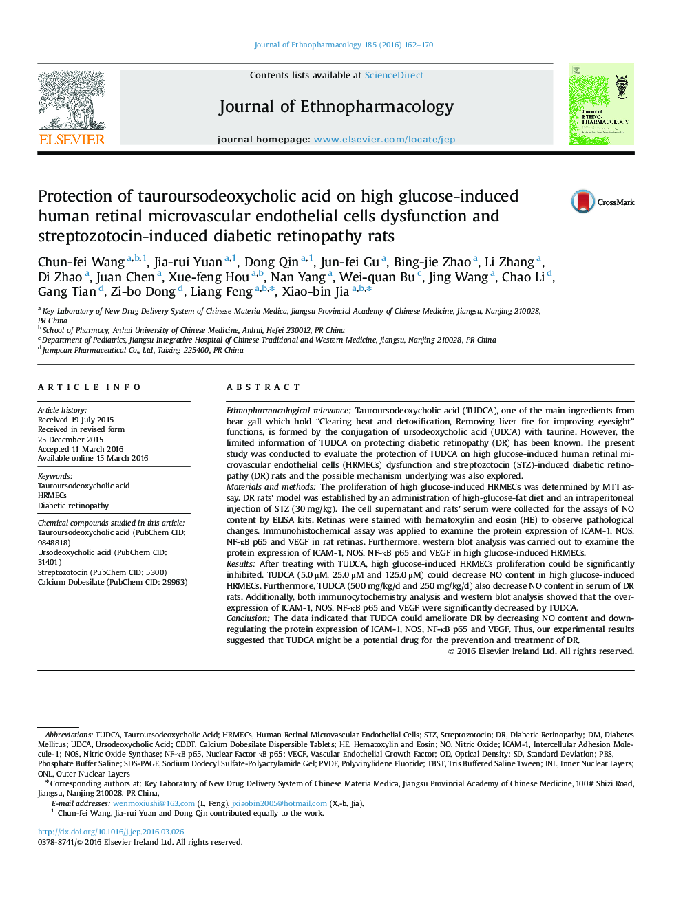 Protection of tauroursodeoxycholic acid on high glucose-induced human retinal microvascular endothelial cells dysfunction and streptozotocin-induced diabetic retinopathy rats