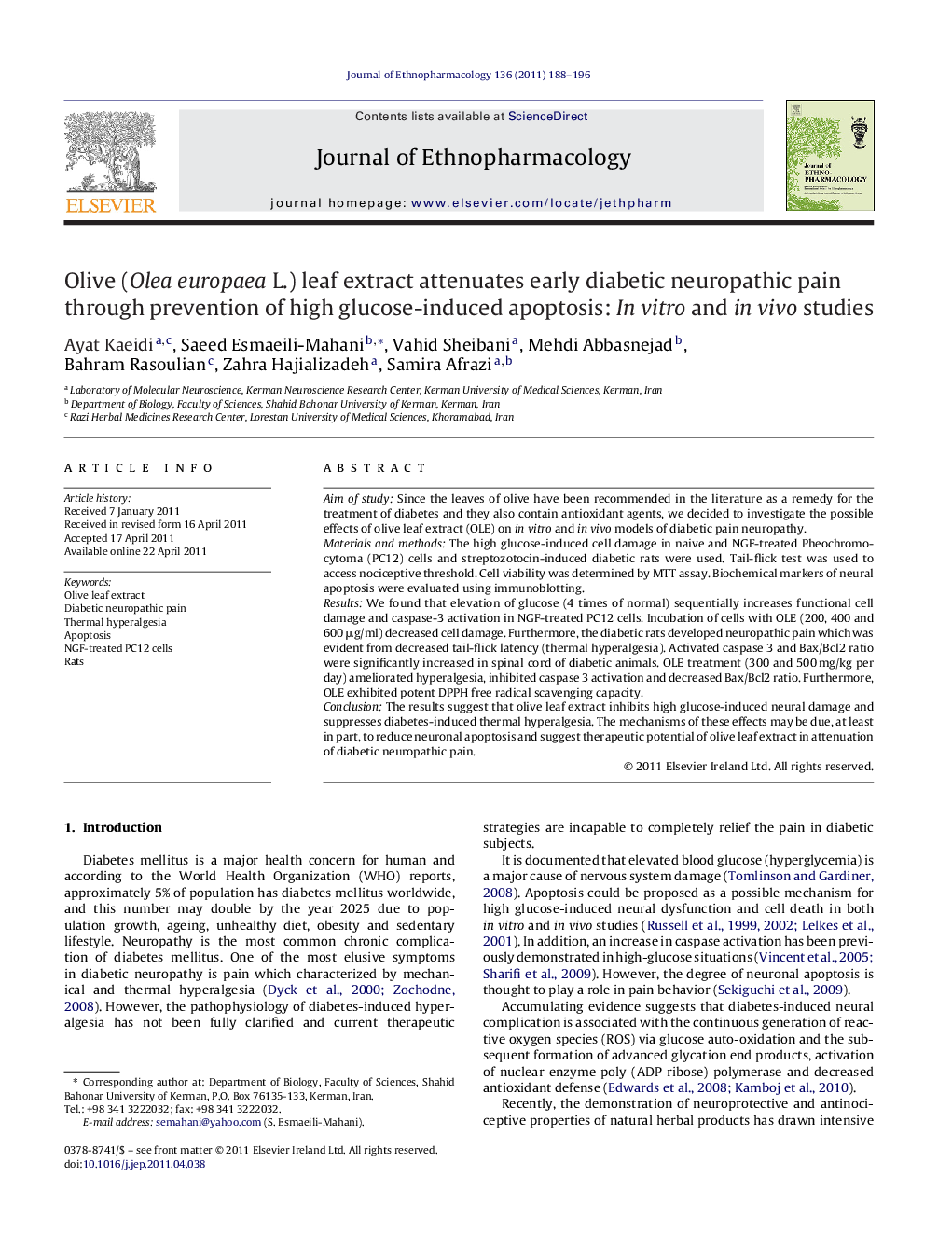 Olive (Olea europaea L.) leaf extract attenuates early diabetic neuropathic pain through prevention of high glucose-induced apoptosis: In vitro and in vivo studies