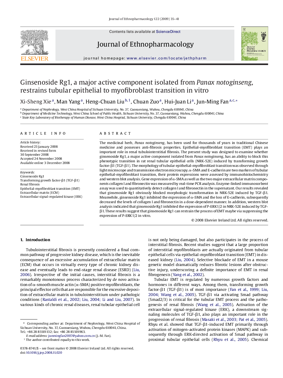 Ginsenoside Rg1, a major active component isolated from Panax notoginseng, restrains tubular epithelial to myofibroblast transition in vitro