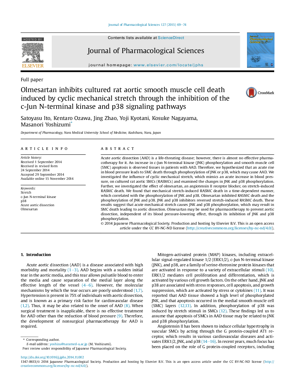 Olmesartan inhibits cultured rat aortic smooth muscle cell death induced by cyclic mechanical stretch through the inhibition of the c-Jun N-terminal kinase and p38 signaling pathways 