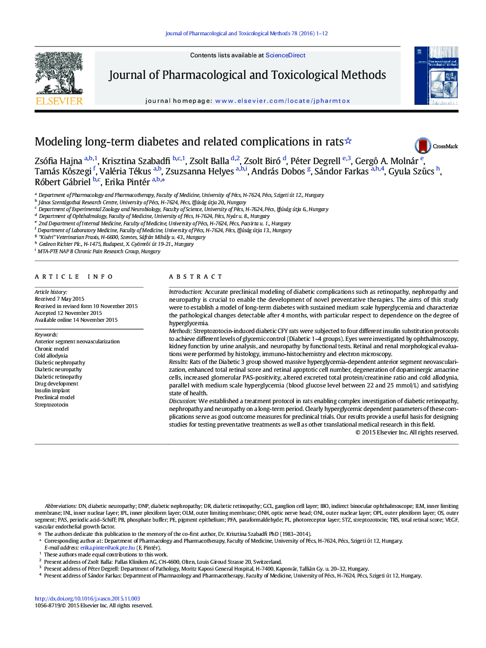 Modeling long-term diabetes and related complications in rats 