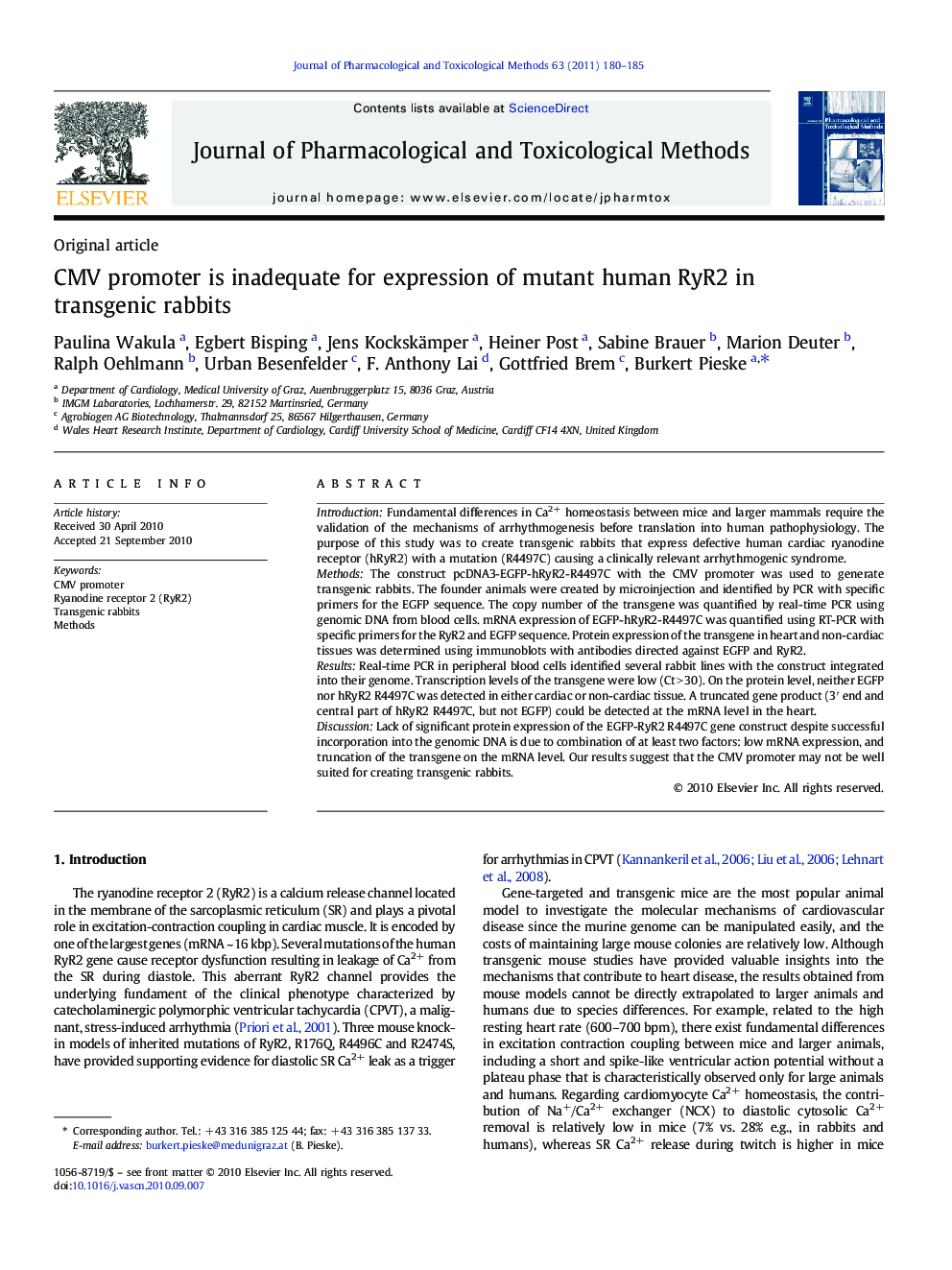 CMV promoter is inadequate for expression of mutant human RyR2 in transgenic rabbits