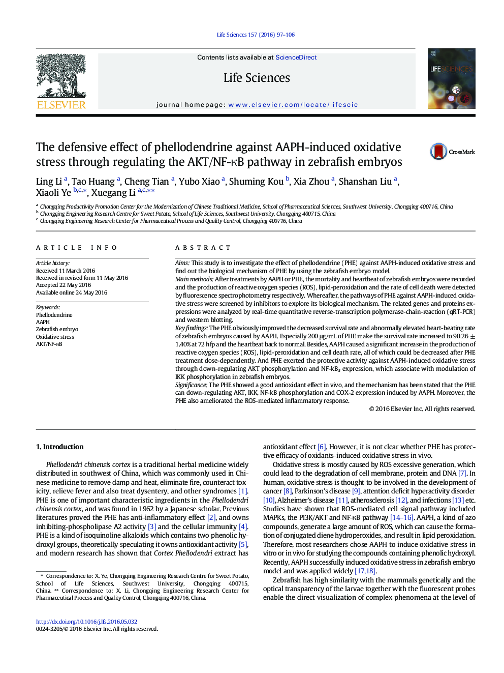 The defensive effect of phellodendrine against AAPH-induced oxidative stress through regulating the AKT/NF-κB pathway in zebrafish embryos