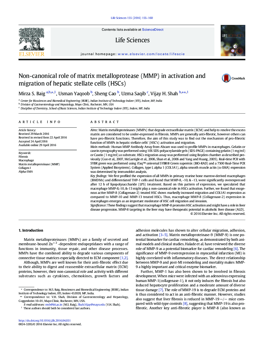 Non-canonical role of matrix metalloprotease (MMP) in activation and migration of hepatic stellate cells (HSCs)