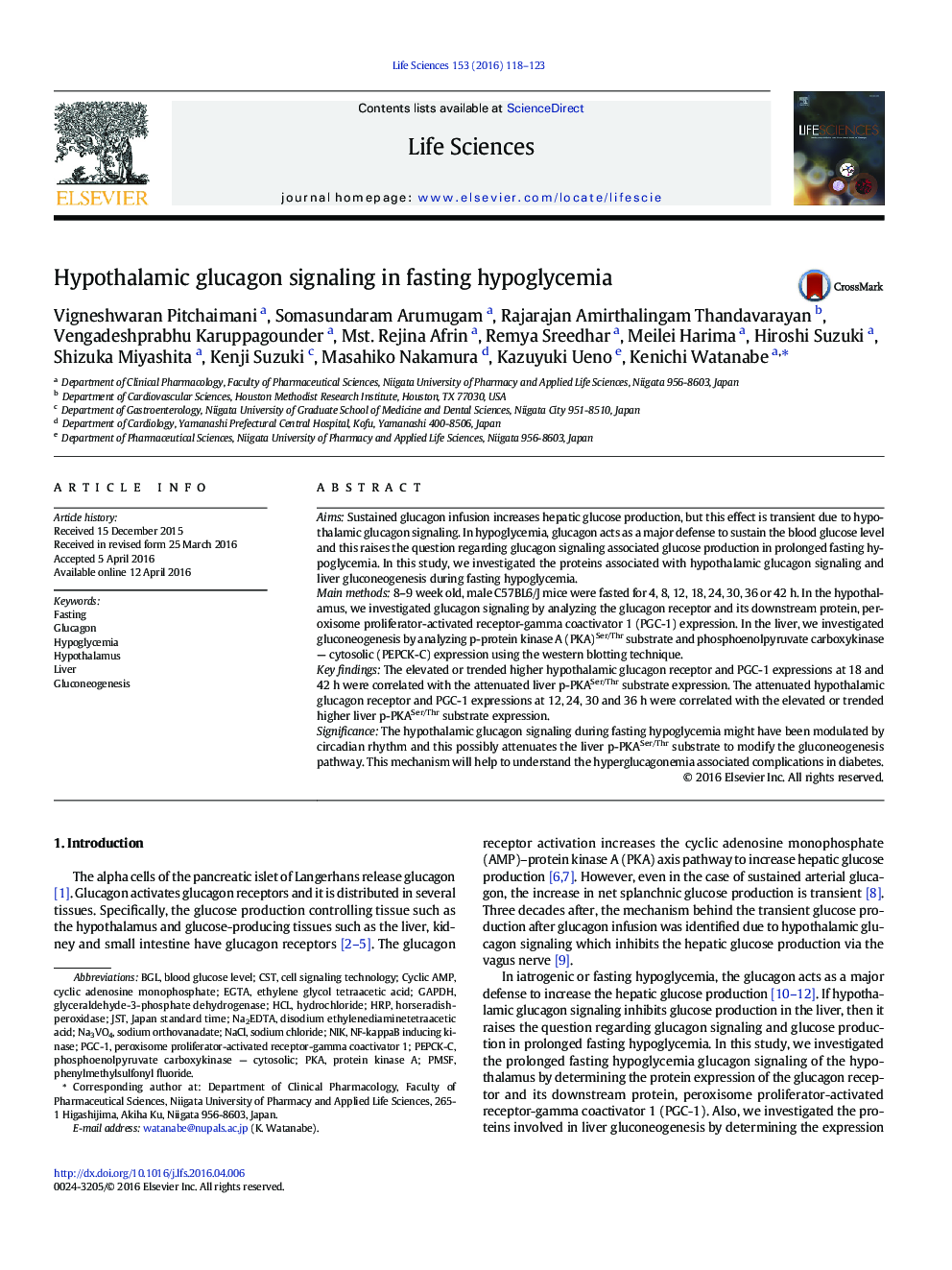 Hypothalamic glucagon signaling in fasting hypoglycemia