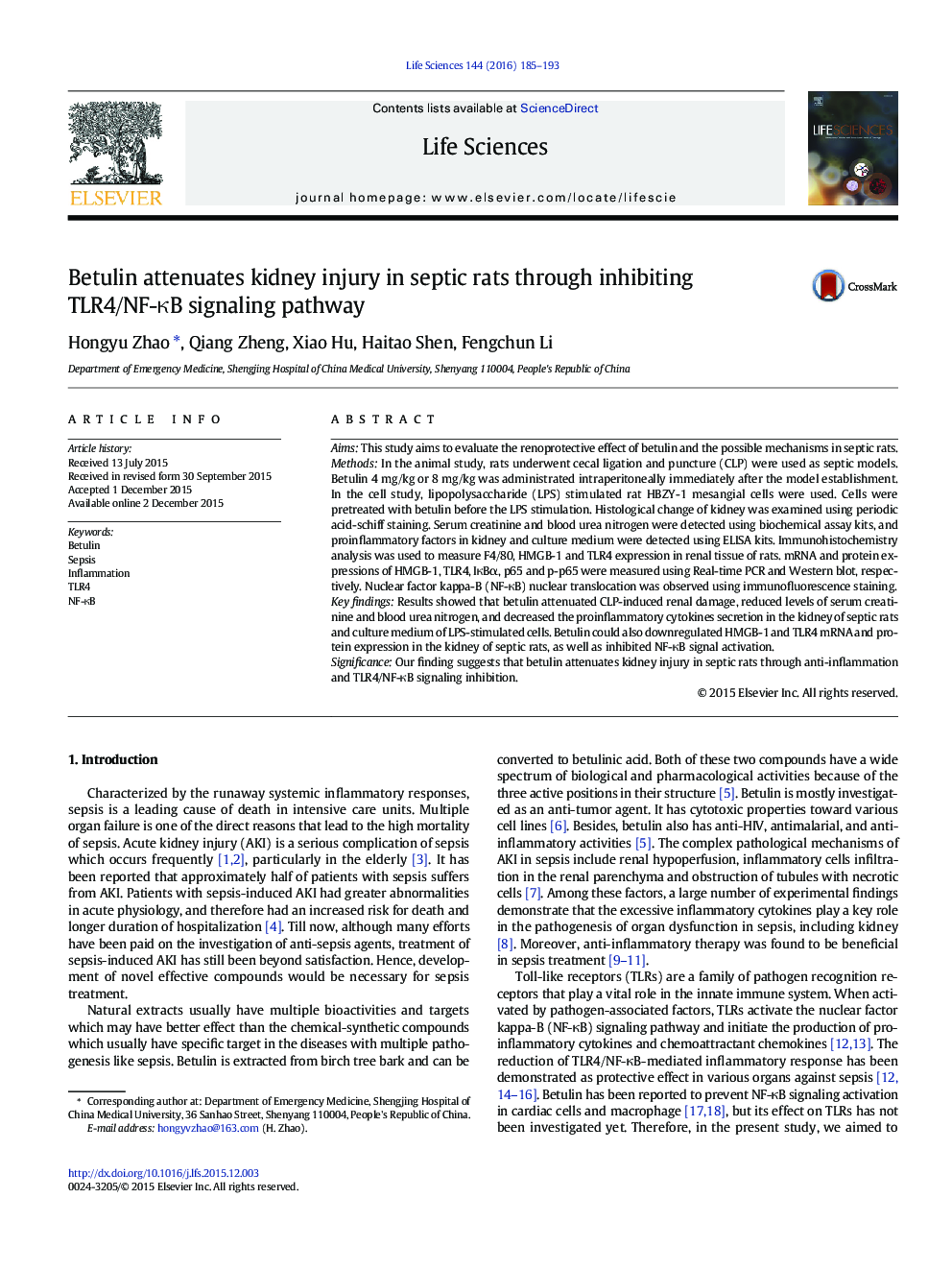 Betulin attenuates kidney injury in septic rats through inhibiting TLR4/NF-κB signaling pathway