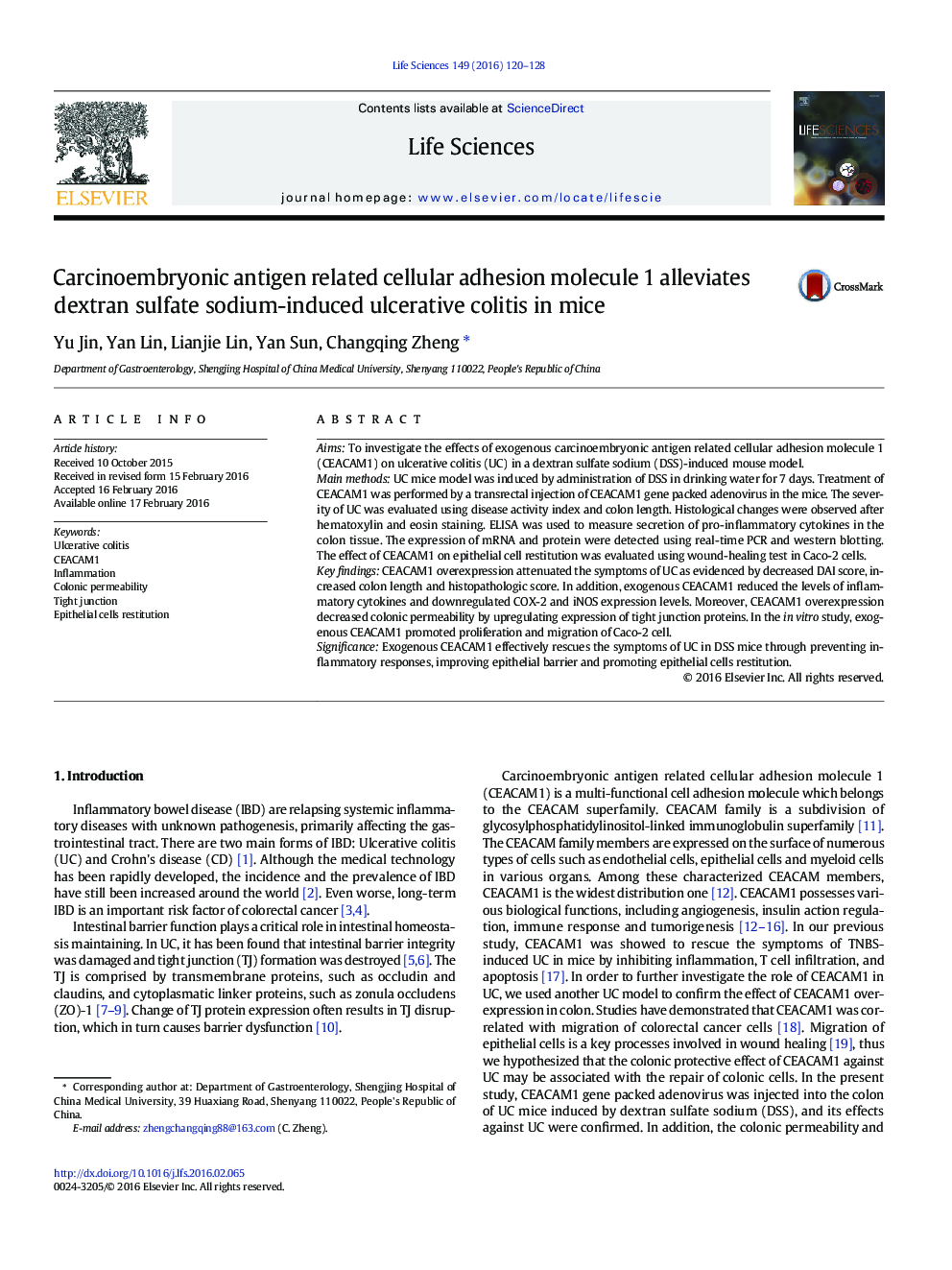 Carcinoembryonic antigen related cellular adhesion molecule 1 alleviates dextran sulfate sodium-induced ulcerative colitis in mice