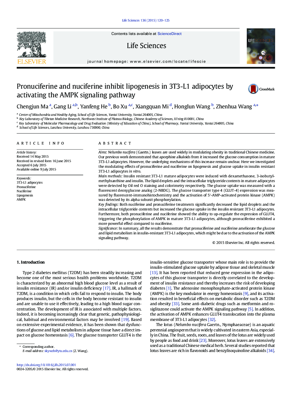 Pronuciferine and nuciferine inhibit lipogenesis in 3T3-L1 adipocytes by activating the AMPK signaling pathway