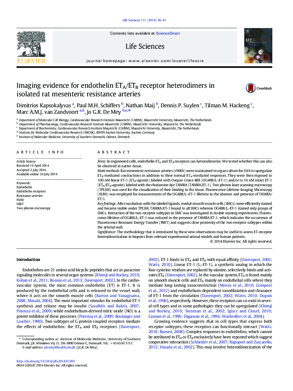 Imaging evidence for endothelin ETA/ETB receptor heterodimers in isolated rat mesenteric resistance arteries
