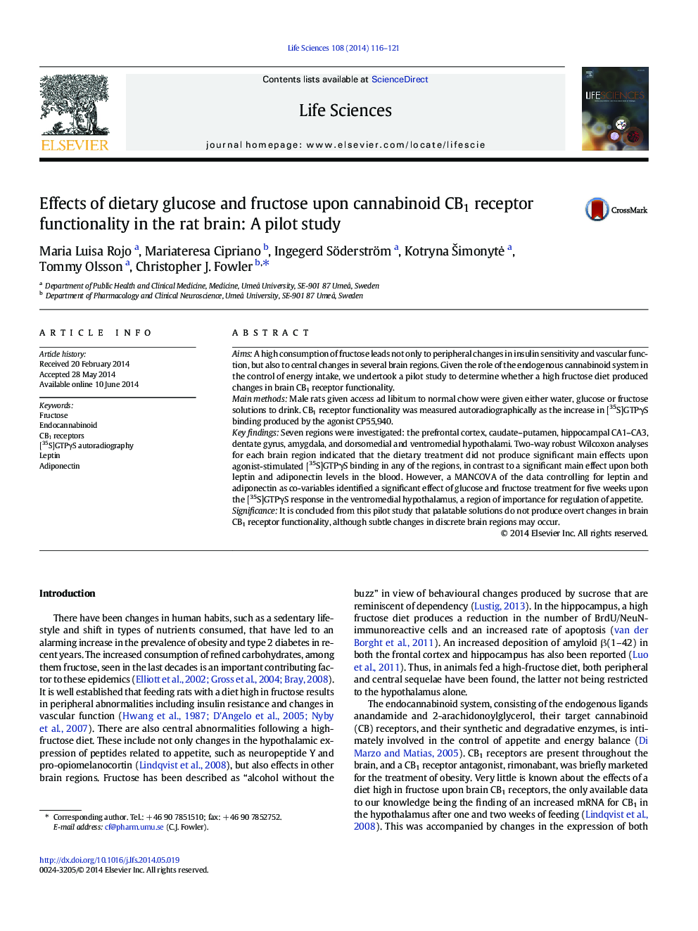 Effects of dietary glucose and fructose upon cannabinoid CB1 receptor functionality in the rat brain: A pilot study