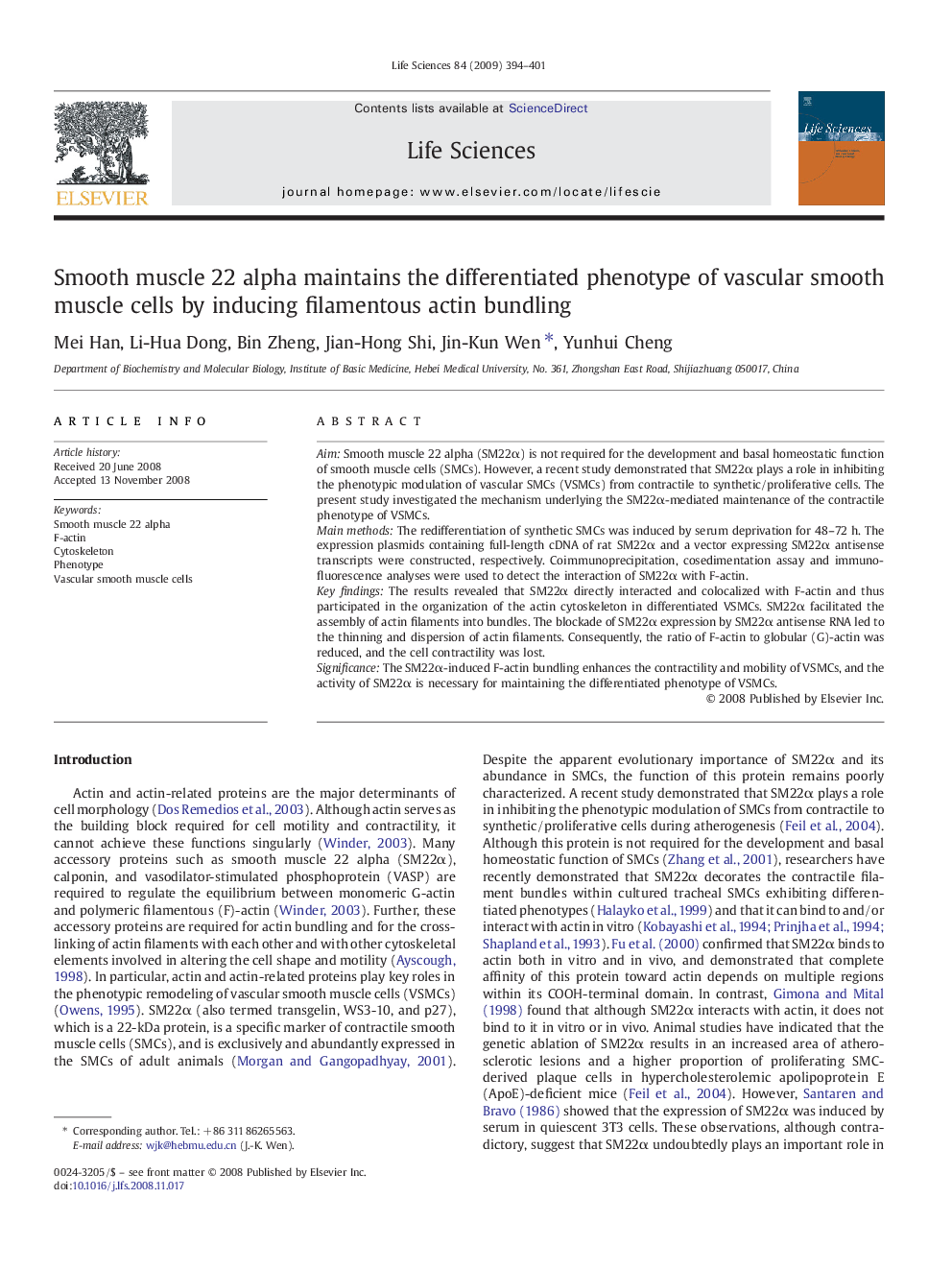 Smooth muscle 22 alpha maintains the differentiated phenotype of vascular smooth muscle cells by inducing filamentous actin bundling