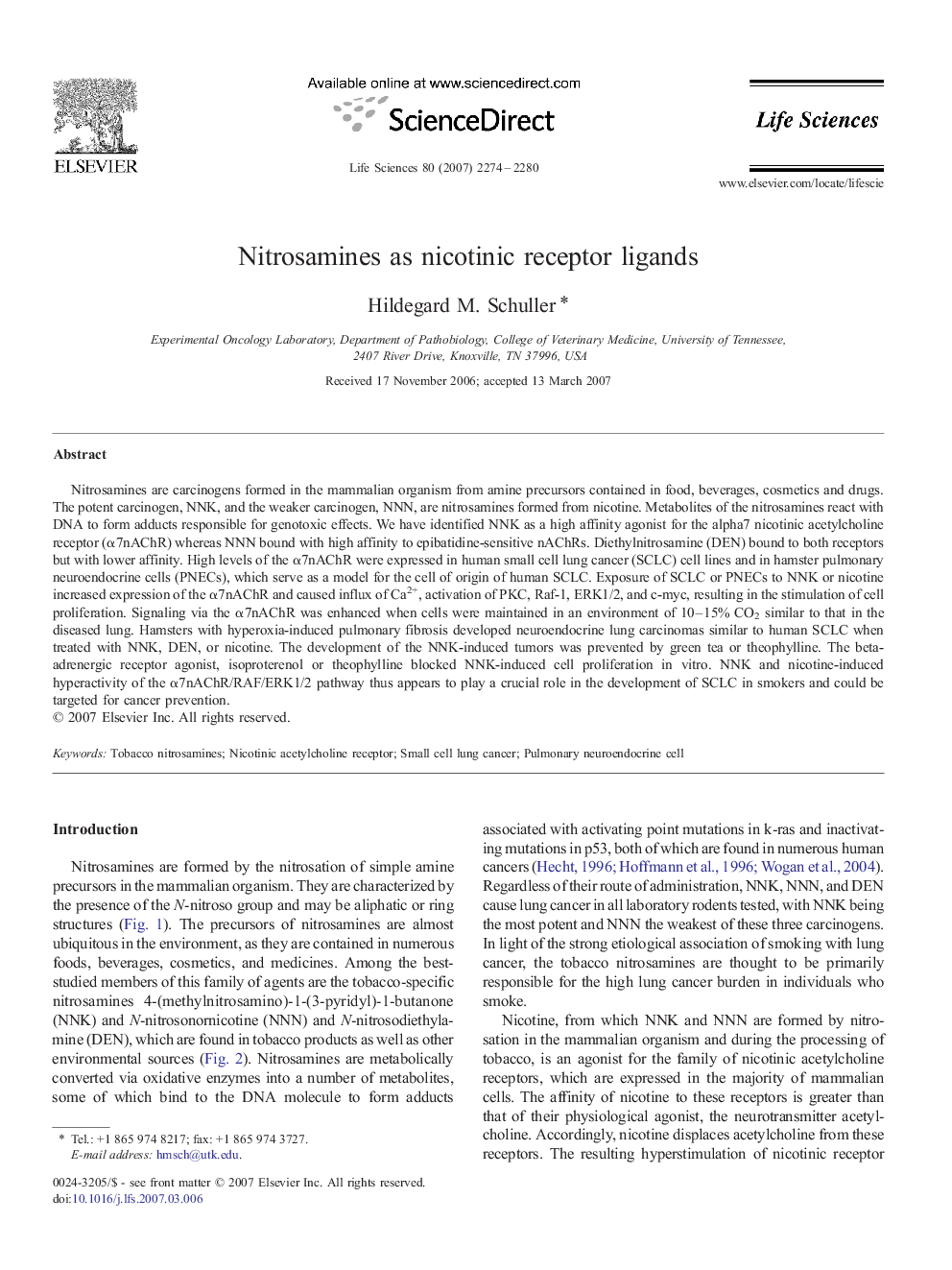 Nitrosamines as nicotinic receptor ligands