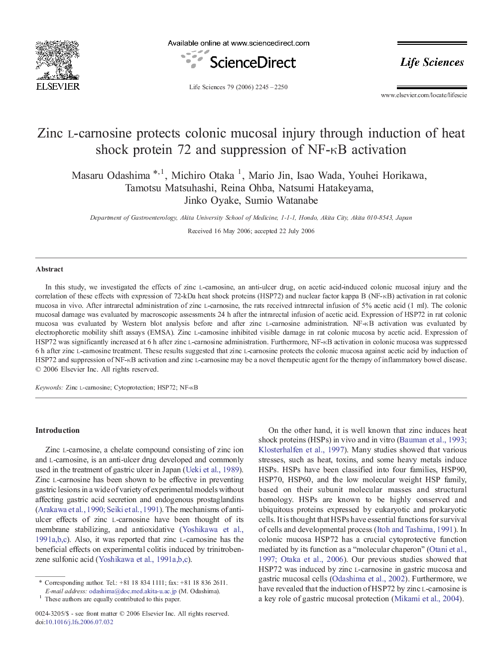 Zinc l-carnosine protects colonic mucosal injury through induction of heat shock protein 72 and suppression of NF-κB activation