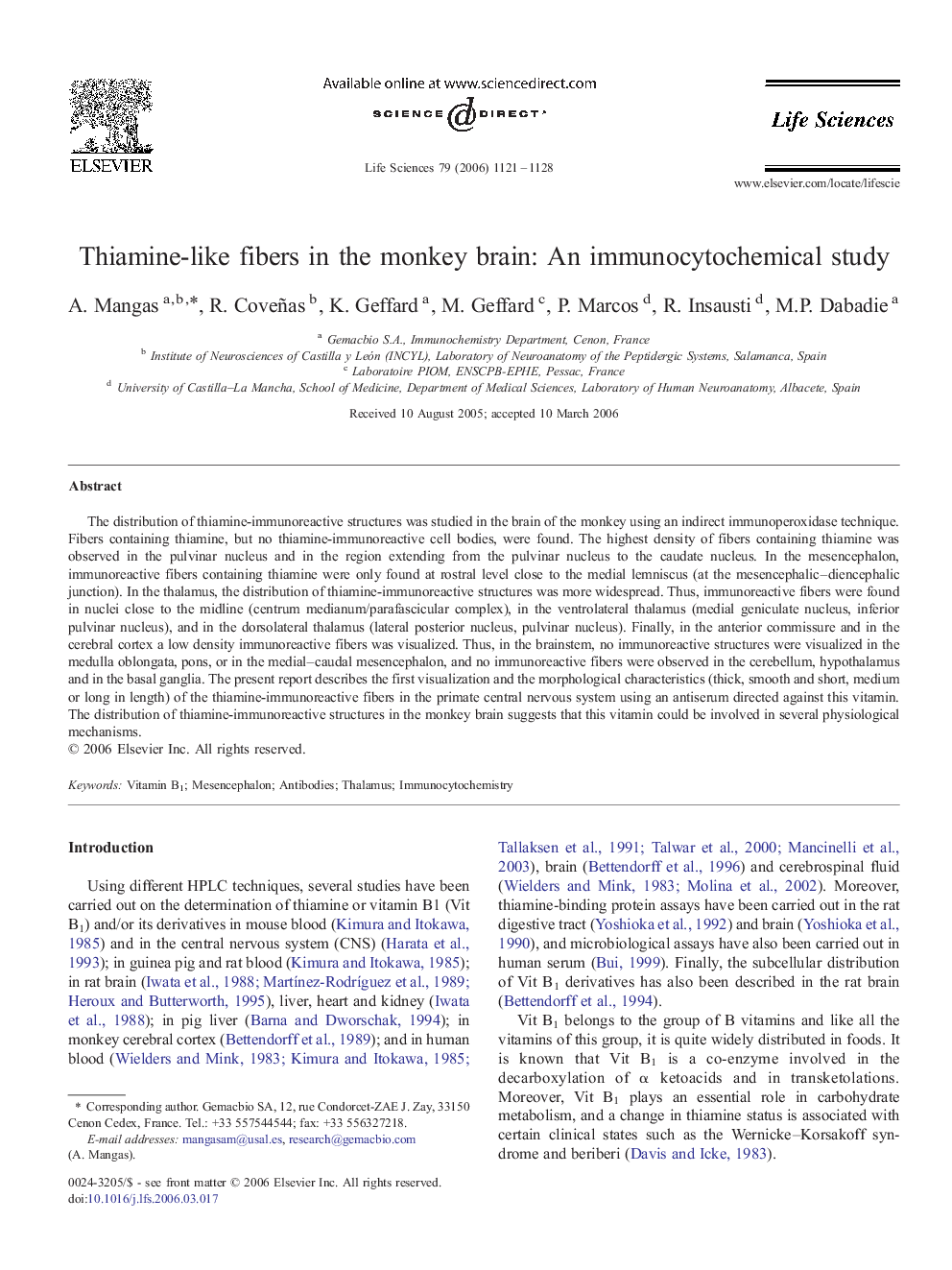 Thiamine-like fibers in the monkey brain: An immunocytochemical study