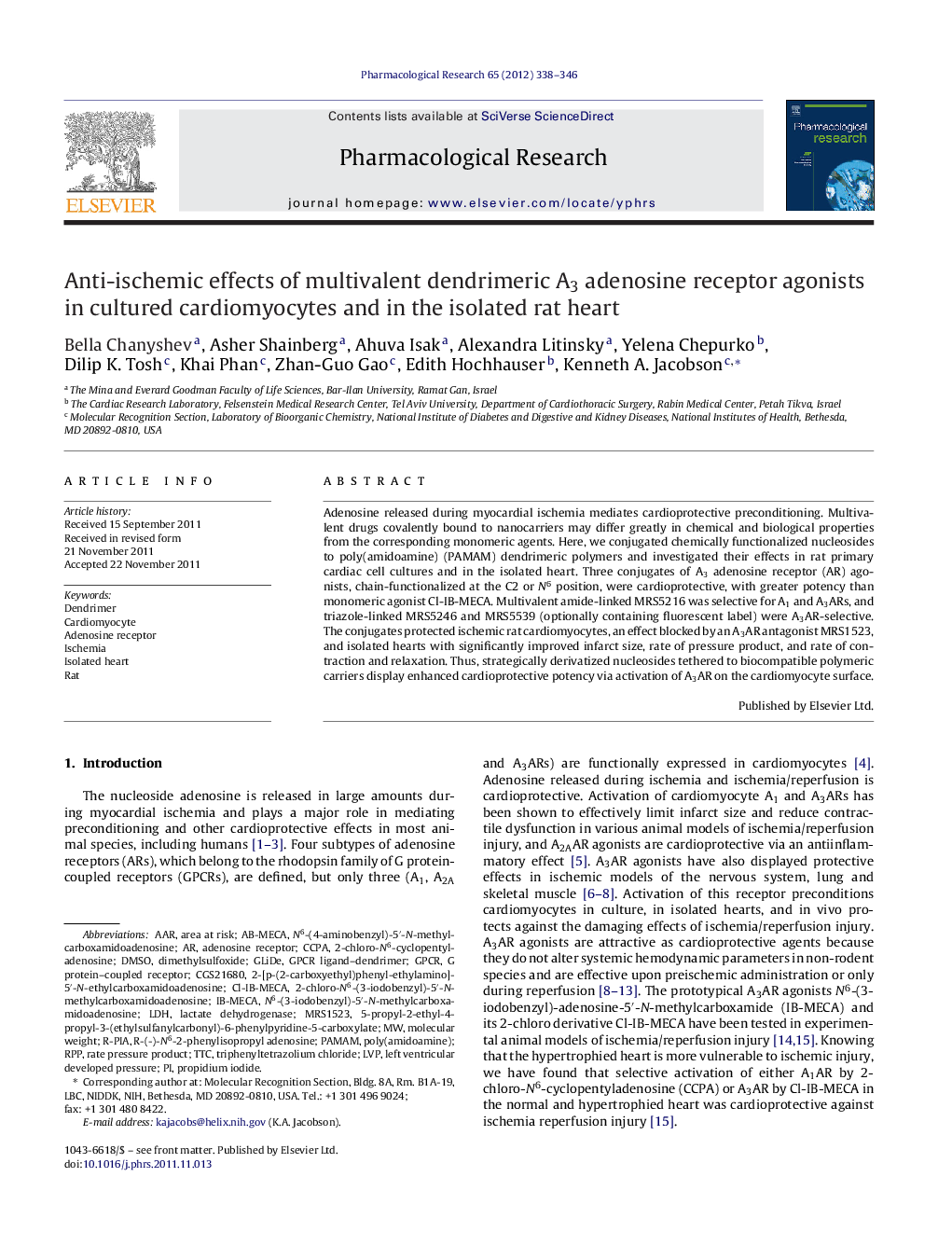 Anti-ischemic effects of multivalent dendrimeric A3 adenosine receptor agonists in cultured cardiomyocytes and in the isolated rat heart