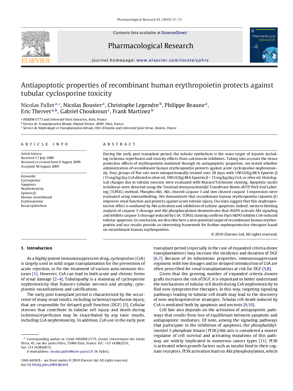 Antiapoptotic properties of recombinant human erythropoietin protects against tubular cyclosporine toxicity