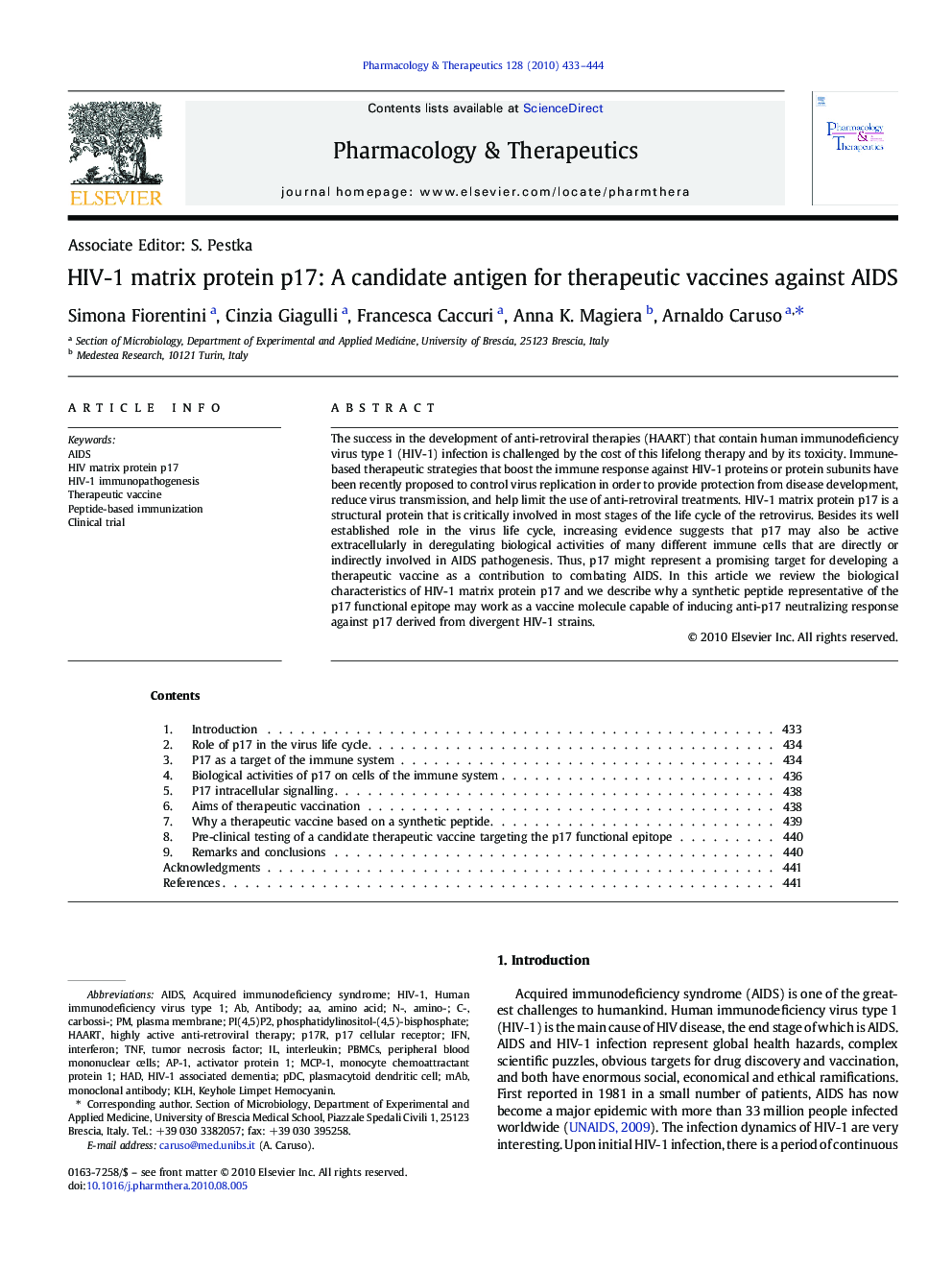 HIV-1 matrix protein p17: A candidate antigen for therapeutic vaccines against AIDS