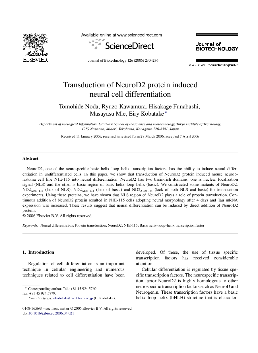 Transduction of NeuroD2 protein induced neural cell differentiation